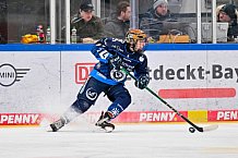 Eishockey, Frauen, DFEL, Saison 2024-2025, ERC Ingolstadt - EC Bergkamener Bären, 05.01.2025