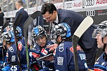 Eishockey, Herren, DEL, Saison 2024-2025, Spieltag 42, ERC Ingolstadt - Kölner Haie, 31.01.2025