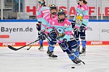 Eishockey, Frauen, DFEL, Saison 2023-2024, ERC Ingolstadt - ESC Planegg-Würmtal, 26.11.2023