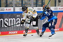 Eishockey, Frauen, DFEL, Saison 2024-2025, ERC Ingolstadt - Mad Dogs Mannheim, 23.11.2024