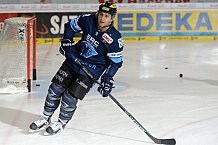 ERC Ingolstadt vs Koelner Haie, Eishockey, DEL, Deutsche Eishockey Liga, 01.11.2015