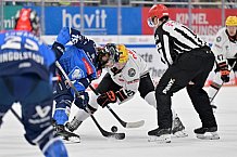 Eishockey, Herren, DEL, Saison 2023-2024, Spieltag 50, ERC Ingolstadt - Löwen Frankfurt, 01.03.2024