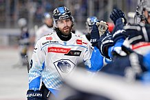 Eishockey, Herren, DEL, Saison 2024-2025, Vorbereitung, ERC Ingolstadt - Dresdner Eislöwen, 18.08.2024
