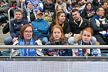 Eishockey, Herren, DEL, Saison 2024-2025, Spieltag 42, ERC Ingolstadt - Kölner Haie, 31.01.2025