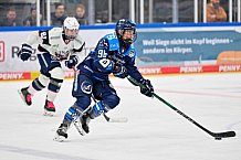 Eishockey, Frauen, EWHL Euro Cup, Saison 2025-2026, Spiel um Platz 3, ERC Ingolstadt - Eisbären Juniors Berlin Frauen, 19.10.2025