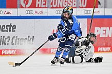 Eishockey, Frauen, DFEL, Saison 2023-2024, ERC Ingolstadt - Amsterdam Tigers, 06.01.2024