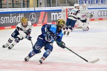 Eishockey, Frauen, DFEL, Saison 2025-2026, ERC Ingolstadt - Eisbären Berlin, 18.01.2026