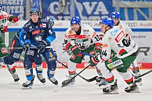 Eishockey, Herren, DEL, Saison 2024-2025, Spieltag 35, ERC Ingolstadt - Augsburger Panther, 10.01.2025