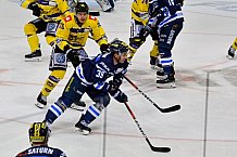 ERC Ingolstadt vs Krefeld Pinguine am 01.02.2019, Spieltag 44