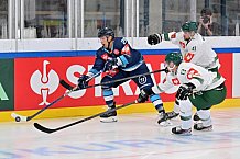 Eishockey, Mens, CHL, Season 2023-2024, ERC Ingolstadt - Färjestad Karlstad, 02.09.2023
