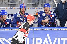 Eishockey, Herren, DEL, Saison 2020-2021, Adler Mannheim - ERC Ingolstadt, 15.02.2021