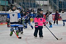 Eishockey, Herren, DEL, Saison 2024-2025, ERC Ingolstadt - Kids On Ice Day, 11.01.2025