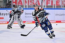 Eishockey, Herren, DEL, Saison 2023-2024, Spieltag 20, ERC Ingolstadt - Adler Mannheim, 19.11.2023