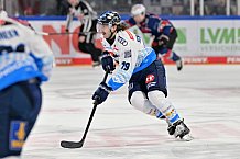 Eishockey, Herren, DEL, Saison 2024-2025, Spieltag 16, Nürnberg Ice Tigers - ERC Ingolstadt, 15.11.2024