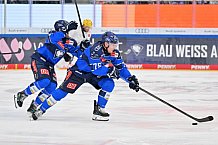Eishockey, Herren, DEL, Saison 2026-2027, Spieltag 8, ERC Ingolstadt - Löwen Frankfurt, 11.10.2026