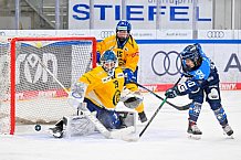 Eishockey, Frauen, DFEL, Saison 2025-2026, Testspiel, ERC Ingolstadt - HC Davos, 14.02.2026