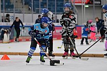Eishockey, Herren, DEL, Saison 2024-2025, ERC Ingolstadt - Kids On Ice Day, 11.01.2025