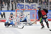 Eishockey, Herren, DEL, Saison 2024-2025, Spieltag 39, Straubing Tigers - ERC Ingolstadt, 24.01.2025