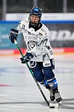 Eishockey, Frauen, DFEL, Saison 2025-2026, ERC Ingolstadt - HK Budapest, 15.11.2025