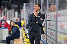 Eishockey, Herren, DEL, Saison 2023-2024, Spieltag 31, Nürnberg Ice Tigers - ERC Ingolstadt, 26.12.2023