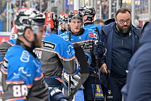 Eishockey, Herren, DEL, Saison 2023-2024, Spieltag 38, ERC Ingolstadt - Adler Mannheim, 14.01.2024