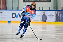 Eishockey, Frauen, DFEL, Saison 2024-2025, ERC Ingolstadt - HK Budapest Roster, 12.01.2025