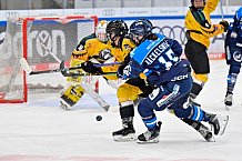 Eishockey, Frauen, DFEL, Saison 2025-2026, Spieltag 3, ERC Ingolstadt - Mad Dogs Mannheim, 27.09.2025