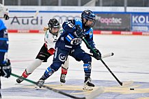 Eishockey, Frauen, DFEL, Saison 2025-2026, ERC Ingolstadt - HK Budapest, 15.11.2025