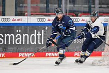 Eishockey, Herren, DEL, Saison 2022-2023, ERC Ingolstadt - Showtraining & Dauerkartenüberge, 07.08.2022