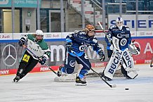Eishockey, Frauen, European Womens Hockey League, Saison 2024-2025, ERC Ingolstadt - Lakers Kärnten, 13.09.2024