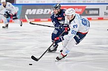Eishockey, Herren, DEL, Saison 2024-2025, Spieltag 17, ERC Ingolstadt - Adler Mannheim, 17.11.2024