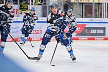 Eishockey, Herren, DEL, Saison 2024-2025, Spieltag 36, ERC Ingolstadt - Kölner Haie, 12.01.2025