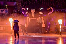 ERC Ingolstadt vs EHC Red Bull München, DEL, Deutsche Eishockey Liga, Spieltag 21, 24.11.2019