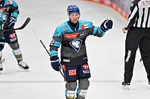 Eishockey, Herren, DEL, Saison 2026-2027, Spieltag 4, ERC Ingolstadt - Adler Mannheim, 27.09.2026