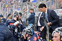 Eishockey, Herren, DEL, Saison 2024-2025, Playoffs Halbfinale, Spiel 5, ERC Ingolstadt - Kölner Haie, 11.04.2025