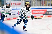 Eishockey, Frauen, DFEL, Saison 2025-2026, ERC Ingolstadt - Eisbären Berlin, 18.01.2026