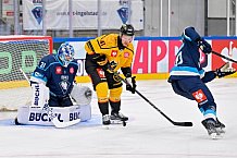 Hockey, Mens, CHL, Season 2025-2026, Regular Season, Game Day 2, ERC Ingolstadt - Kalpa Kuopio, 30.08.2025