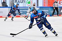Eishockey, Herren, DEL, Saison 2025-2026, Spiel 44, ERC Ingolstadt - Dresdner Eislöwen, 27.01.2026