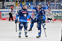 Eishockey, Herren, DEL, Saison 2024-2025, Spieltag 36, ERC Ingolstadt - Kölner Haie, 12.01.2025