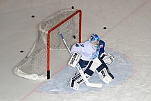 ERC Ingolstadt vs Duesseldorfer EG, Eishockey, DEL, Deutsche Eishockey Liga, Spieltag 19, 18.11.2016