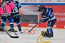 Eishockey, Herren, DEL, Saison 2023-2024, ERC Ingolstadt - Kids on Ice Day, 18.11.2023