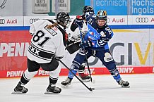 Eishockey, Frauen, DFEL, Saison 2023-2024, ERC Ingolstadt - Amsterdam Tigers, 06.01.2024