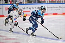 Eishockey, Frauen, DFEL, Saison 2022-2023, ERC Ingolstadt - ECDC Memmingen Indians , 27.11.2022
