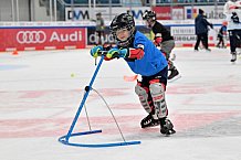 Eishockey, Herren, DEL, Saison 2023-2024, ERC Ingolstadt - Kids on Ice Day, 18.11.2023