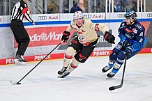 Eishockey, Herren, DEL, Saison 2024-2025, Playoffs Viertelfinale, Spiel 1, ERC Ingolstadt - Nürnberg Ice Tigers, 16.03.2025