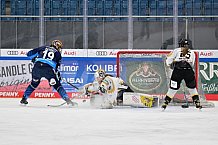 Eishockey, Frauen, DFEL, Saison 2024-2025, ERC Ingolstadt - Mad Dogs Mannheim, 23.11.2024