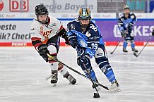 Eishockey, Frauen, DFEL, Saison 2023-2024, ERC Ingolstadt - EC Bergkamener Bären, 28.10.2023