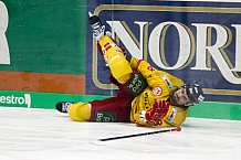 ERC Ingolstadt - Duesseldorfer EG, Eishockey, DEL, Deutsche Eishockey Liga, Spieltag 22, 19.11.2017
