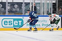 Eishockey, Mens, CHL, Season 2023-2024, ERC Ingolstadt - Färjestad Karlstad, 02.09.2023