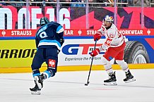 Hockey, Mens, CHL, Season 2025-2026, Regular Season, Round of 16, ERC Ingolstadt - EC Red Bull Salzburg, 12.11.2025